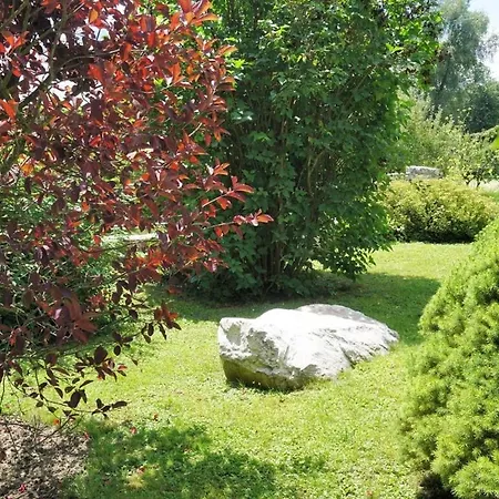Top 1 In The In Wiesengrund Holiday home